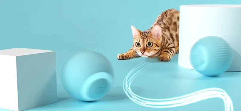 Electric Cat Ball Toys Automatic Rolling Smart Cat Toys Interactive for Cats Training Self-Moving Kitten Toys for Indoor Playing