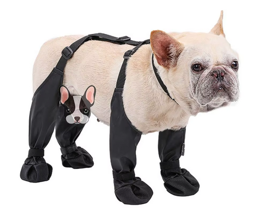 Botas impermeables para perros