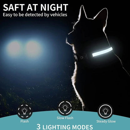 USB Rechargeable Pet Dog LED Glowing Collar for Air-Tag Flashing Necklace Collar Outdoor Walking Night Safety Pet Supplies